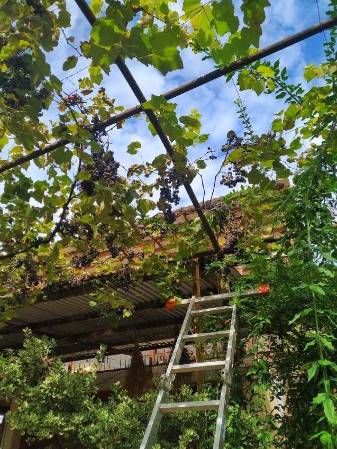 Guest House New Athos Exterior foto
